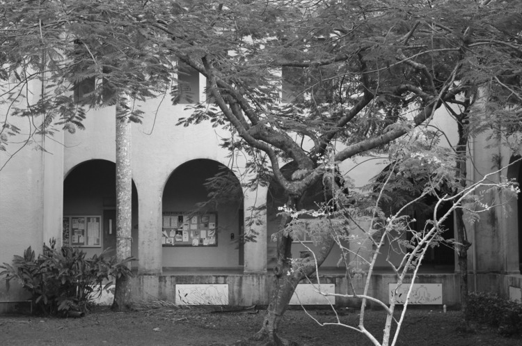 Foto del edificio